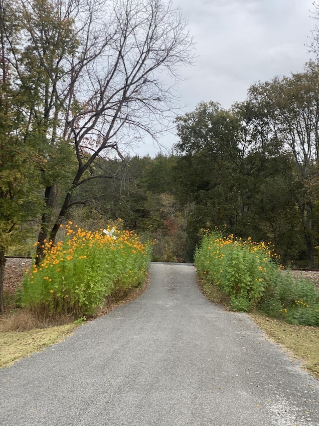 view of road