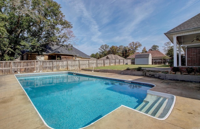 view of swimming pool with a patio area, a storage shed, and ceiling fan