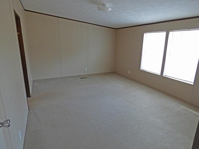 134 Backbone Rd, Evening Shade, AR 72532 - empty room with light colored carpet and crown molding