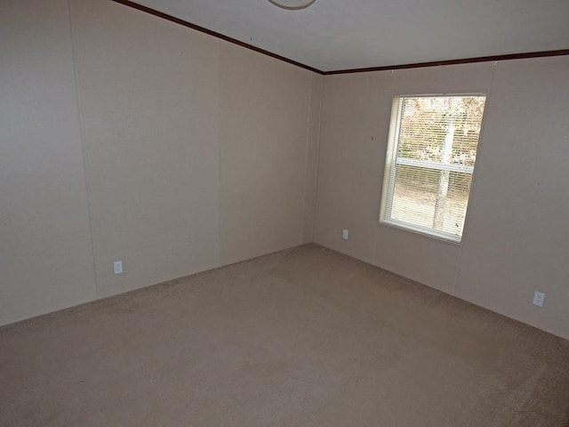 spare room with carpet and crown molding