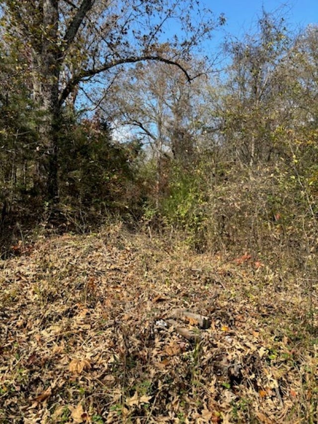 LOT29 Walnut Cv, Hardy AR, 72542 land for sale