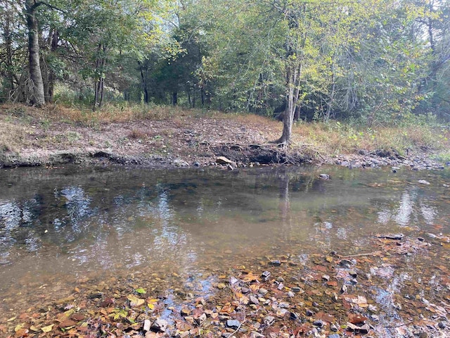 view of water feature