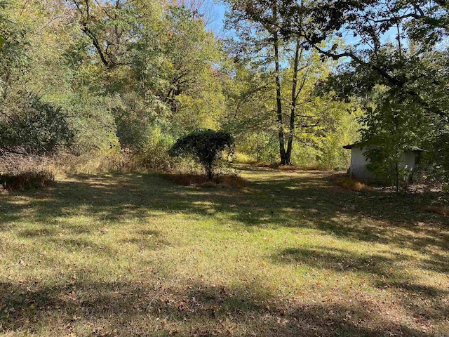 view of yard featuring a shed