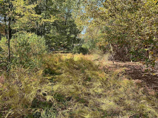 view of nature