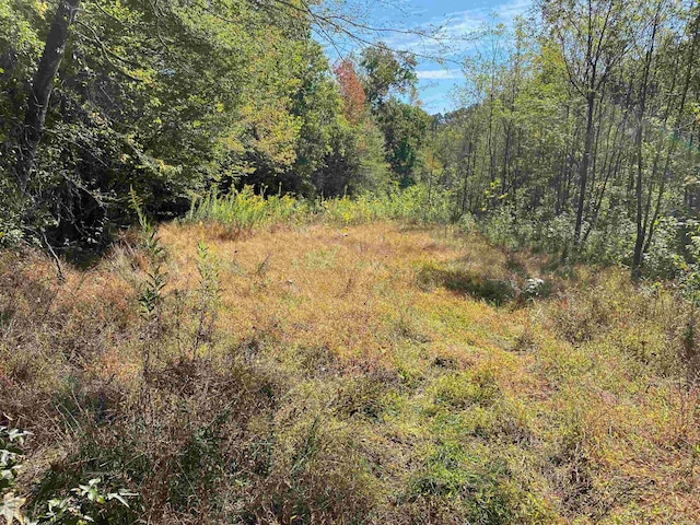 view of local wilderness