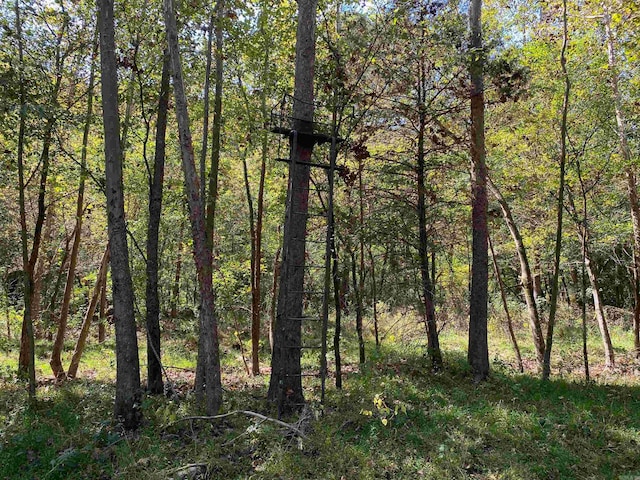view of nature