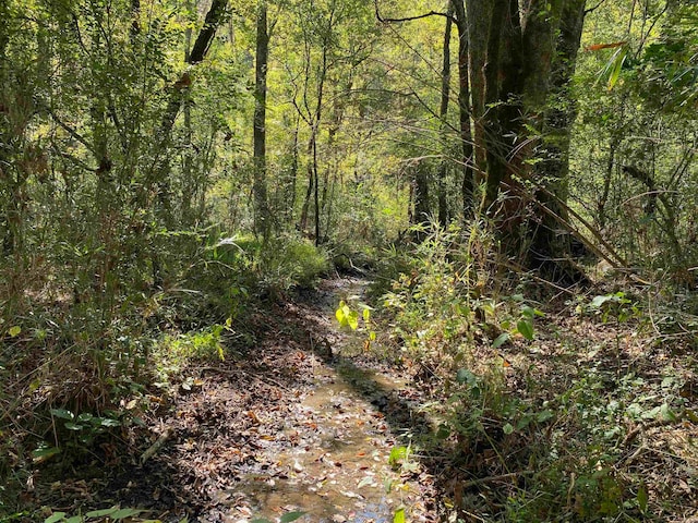 view of nature