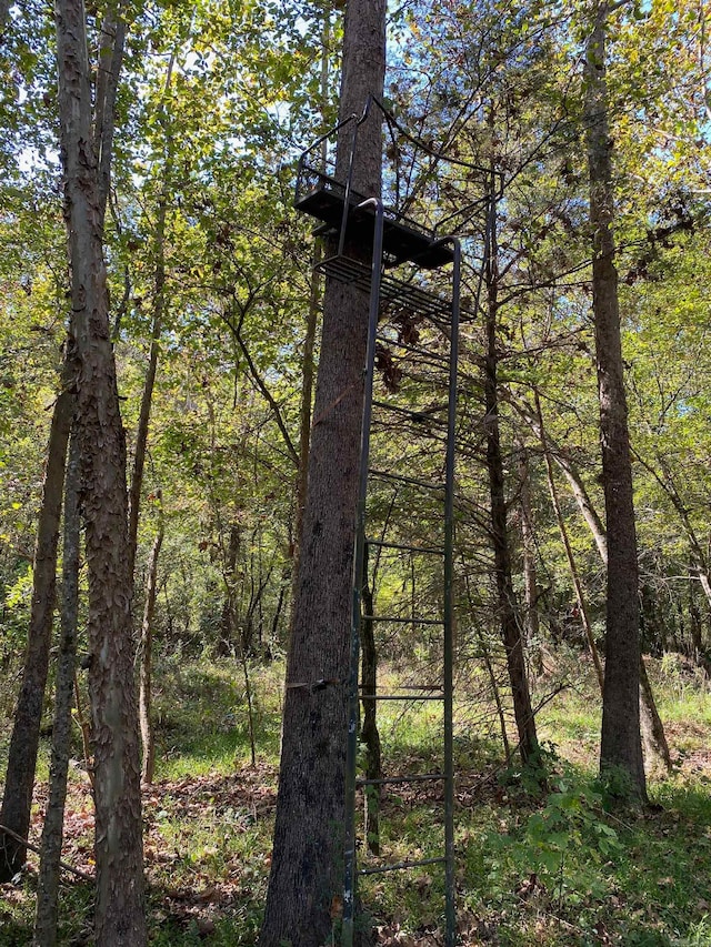 view of nature