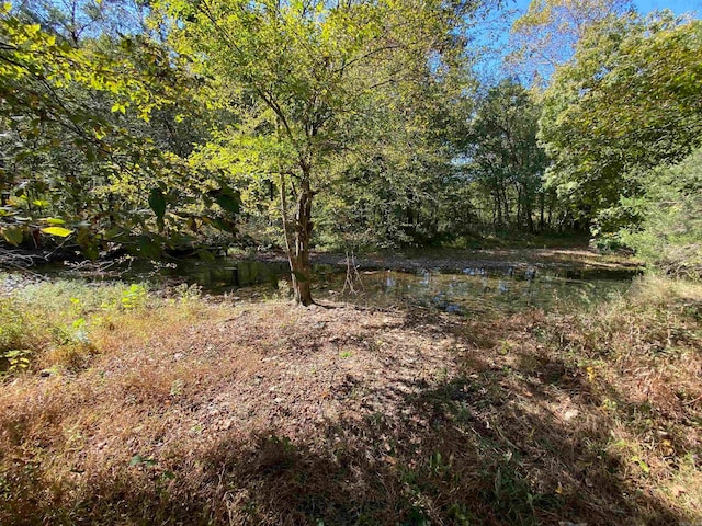 view of local wilderness with a water view