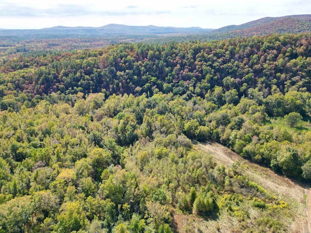 bird's eye view with a mountain view