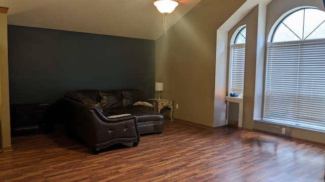 living room with lofted ceiling and dark wood-type flooring