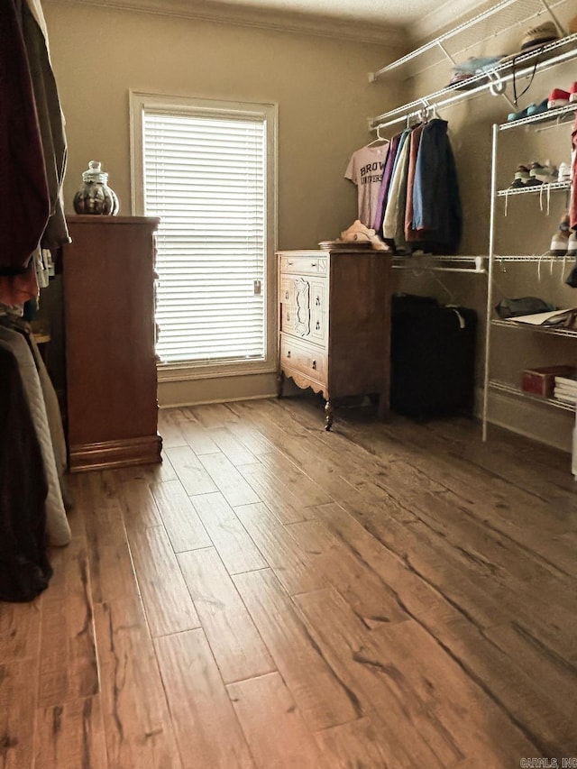 walk in closet featuring hardwood / wood-style floors