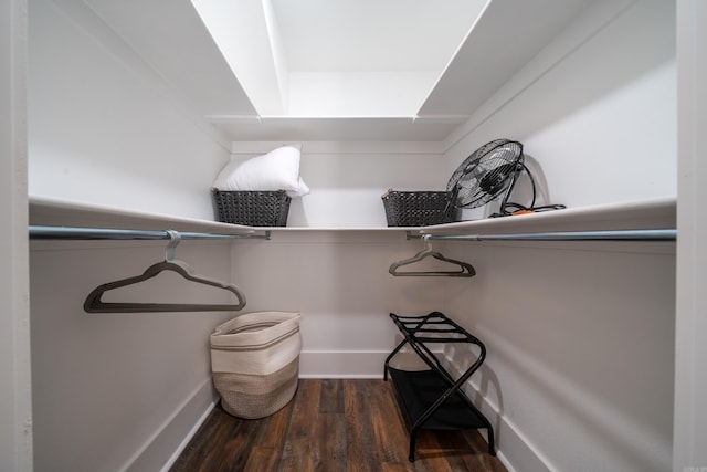 spacious closet featuring dark hardwood / wood-style floors