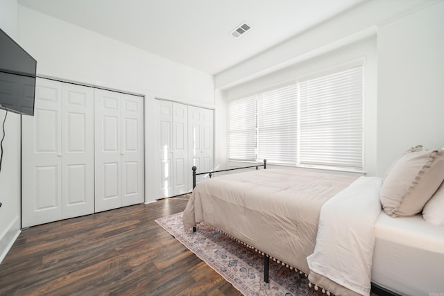 bedroom featuring dark hardwood / wood-style flooring and two closets