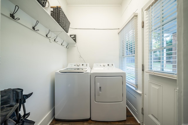 laundry area with washer and clothes dryer and dark hardwood / wood-style floors