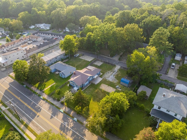 bird's eye view