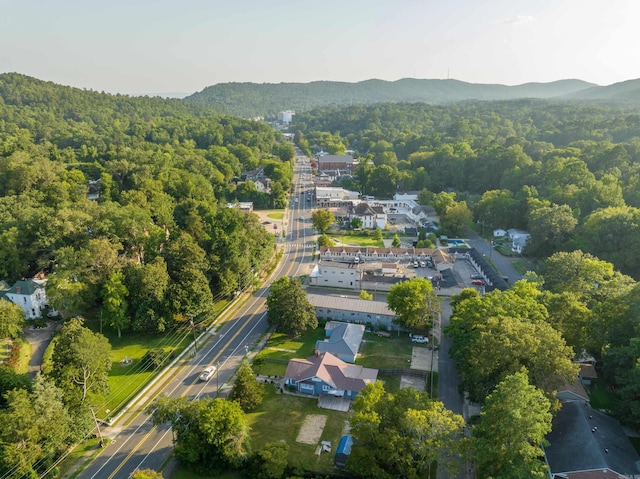 birds eye view of property with a mountain view