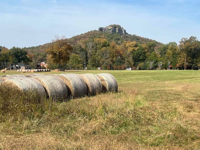 view of home's community with a rural view and a mountain view