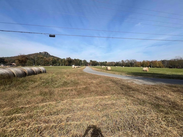 view of road with a rural view