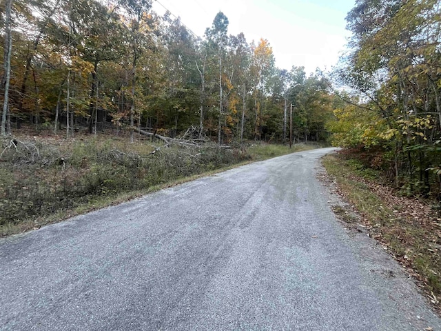 Listing photo 2 for TBD Chakowin Dr, Cherokee Village AR 72529