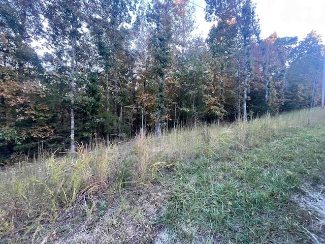 Listing photo 3 for TBD Mishemokwa Trl, Cherokee Village AR 72529