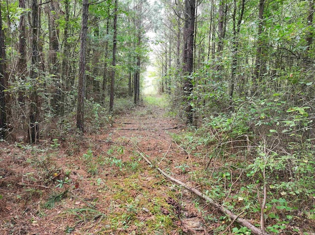 Listing photo 2 for TRACT2 Brushy Creek Rd, Newhope AR 71959