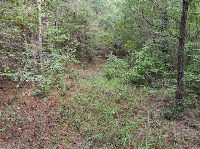 Listing photo 3 for TRACT2 Brushy Creek Rd, Newhope AR 71959