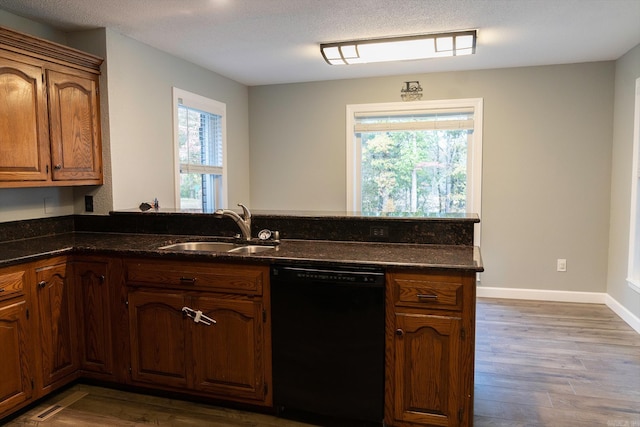 kitchen featuring dishwasher, a healthy amount of sunlight, sink, and dark hardwood / wood-style floors