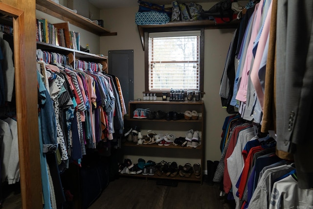 walk in closet with hardwood / wood-style floors