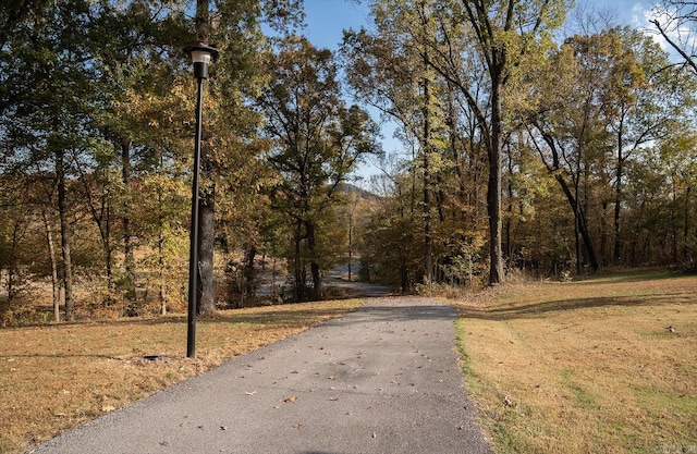 view of road