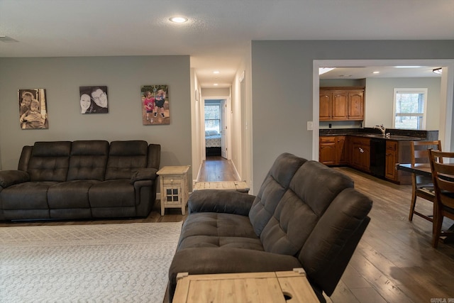 living room featuring hardwood / wood-style flooring and sink