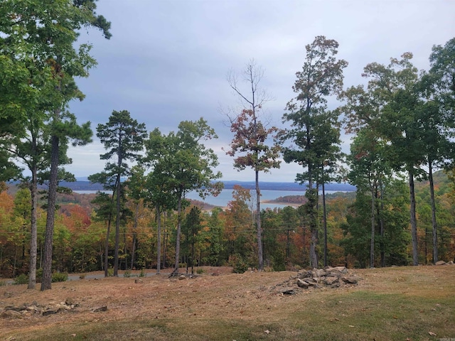 view of landscape with a water view