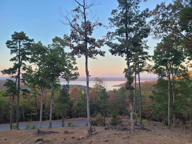 view of nature at dusk