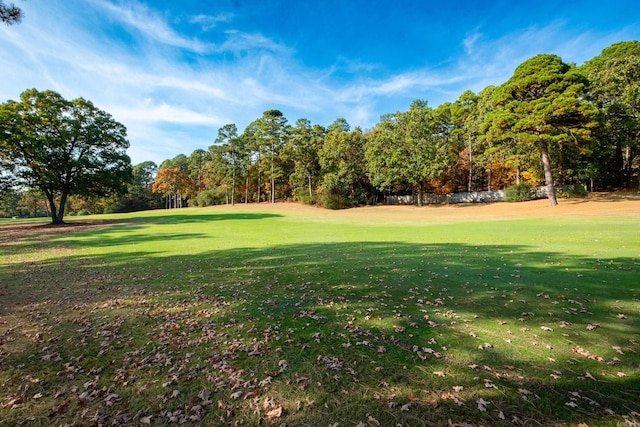 view of community with a lawn