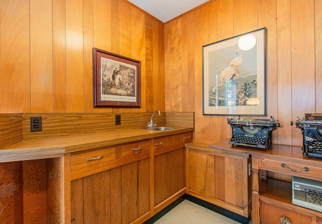 interior space with sink and wooden walls