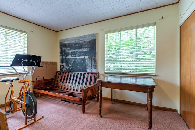 interior space featuring a wealth of natural light, ornamental molding, and carpet flooring