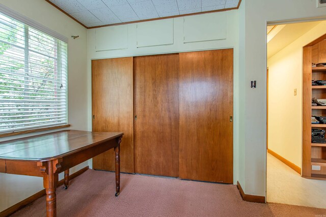 carpeted office space with ornamental molding