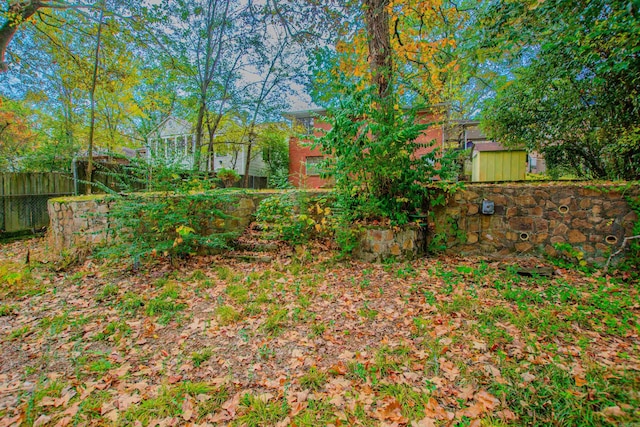 view of yard with a storage shed