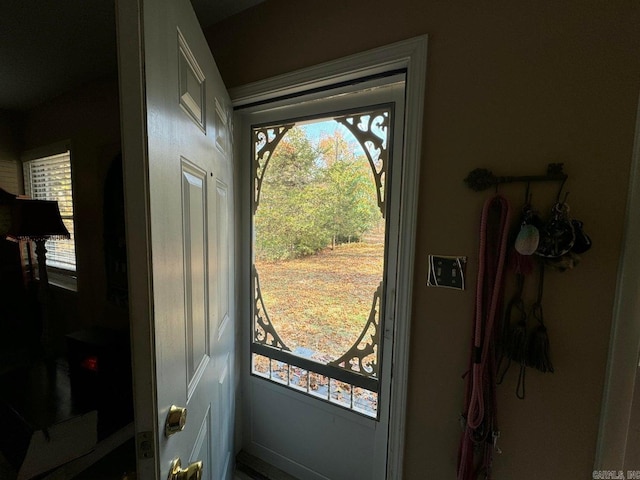 doorway with a healthy amount of sunlight