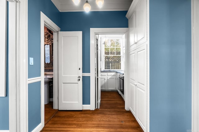 corridor featuring crown molding and dark wood-type flooring