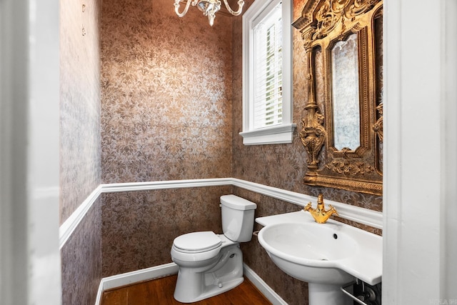 bathroom with toilet, hardwood / wood-style floors, and sink