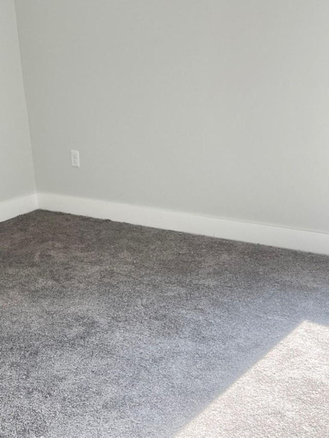 room details featuring carpet flooring