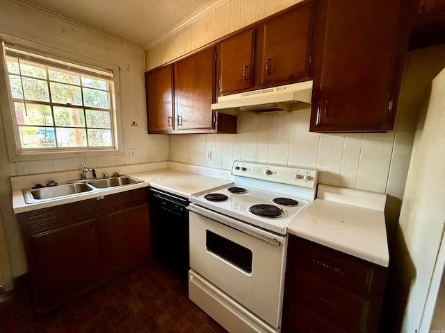 kitchen with crown molding, black dishwasher, sink, and electric stove