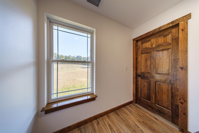 foyer featuring light wood-type flooring and plenty of natural light