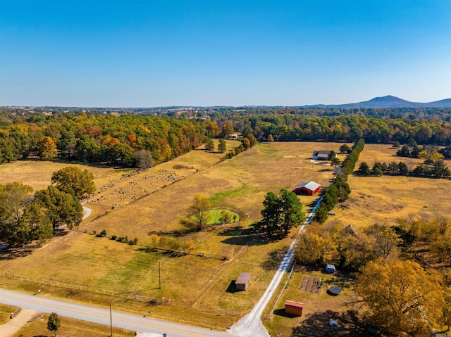 birds eye view of property with a mountain view and a rural view