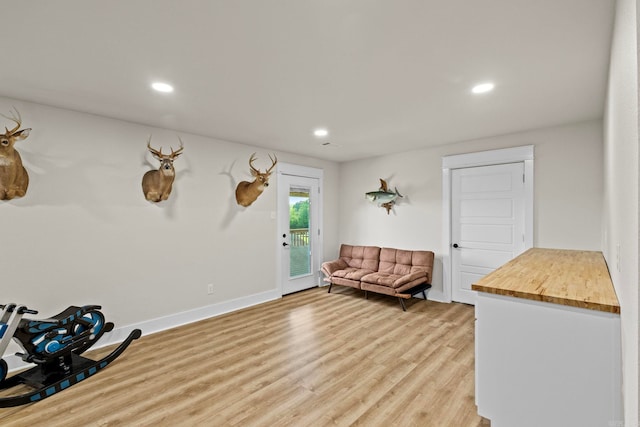 living area featuring light wood-type flooring