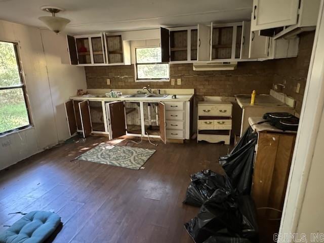 kitchen with sink, dark hardwood / wood-style flooring, white cabinets, decorative backsplash, and ventilation hood