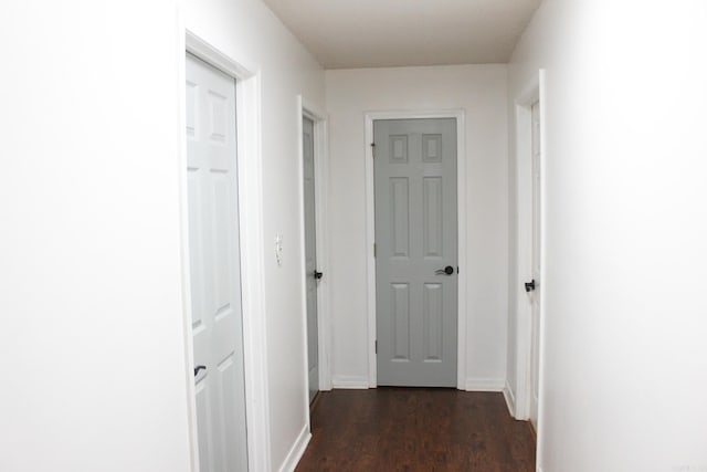 corridor featuring dark wood-type flooring