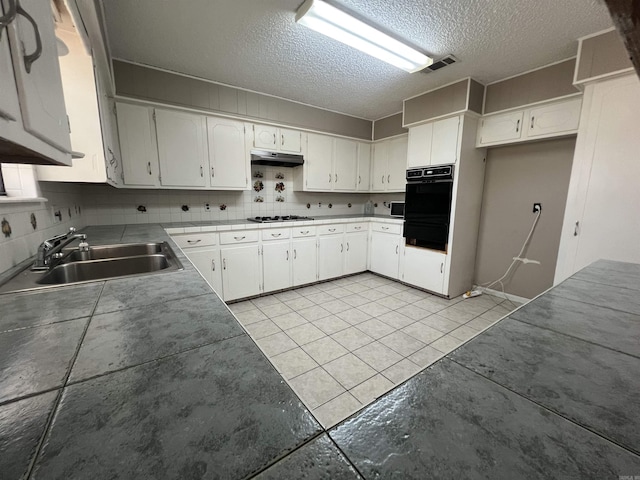 8096 Zuber Rd, Benton, AR 72019 - kitchen with a sink, black oven, a warming drawer, under cabinet range hood, and backsplash