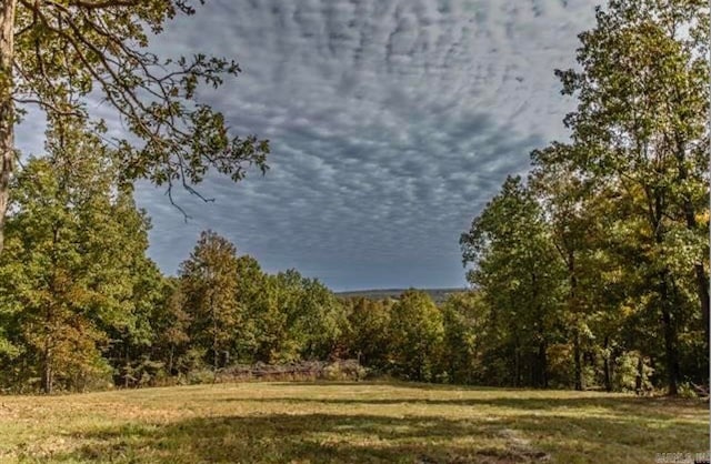 view of local wilderness